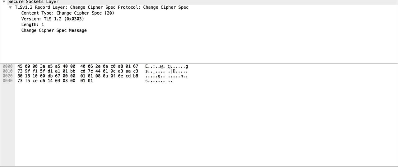 Change Cipher Spec(Client)